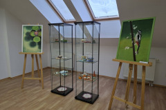 655527525_1524181519714895_8264963409665860133_n