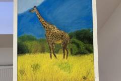 656903207_1539490691518167_8809452468242815944_n