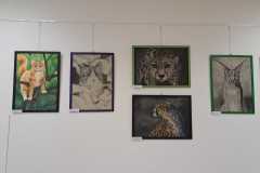 457671496_1028363359296716_50433635513258195_n