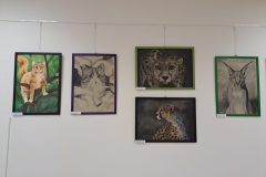 20240830_092418-scaled